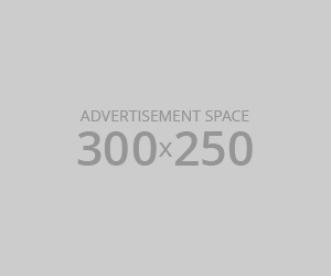300x250-advert-sample